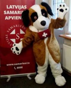 dog mascot saint bernard